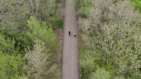 Pair of mountain bikers riding down a path in the woods, 4k, slow-mo drone shot Stock Footage 243542191