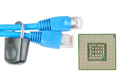 Pair of network cables to lock and the microprocessor. 写真素材