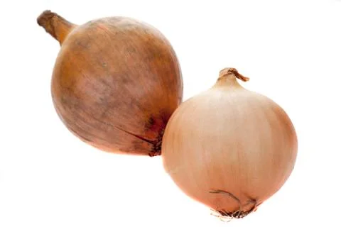 Pair of onions Foto stock