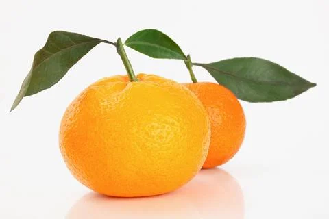 Pair of Oranges With Green Leaves on White Background Foto stock