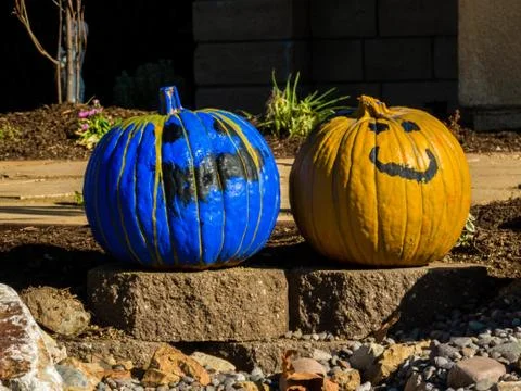 Pair of painted pumpkins Stock Photos