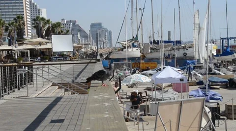 Pair of pigeons sitting on the railing in Tel Aviv Video stock 39996898