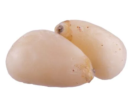 Pair of raw pine nuts isolated on white background Stock Photos