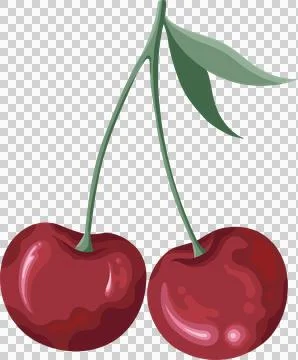 Pair of red cherries are shining on transparent background, with green stems, Ilustração Stock