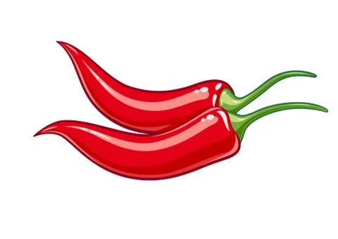 Pair red chile pepper vector illustration eps10 Stock Illustration
