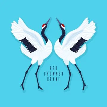Pair of red crowned cranes and heart. Blue background with dancing East Asian Stock Illustration