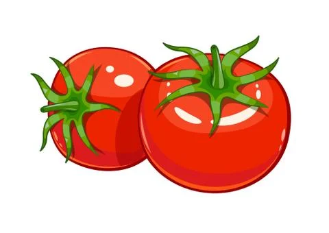 Pair red ripe tomato vector illustration eps10 Stock Illustration