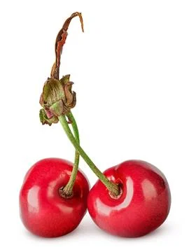 Pair red sweet cherry Stock Photos