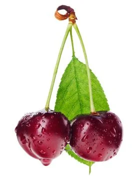 Pair of red wet cherry fruit on stem with green leaf isolated on white Foto stock