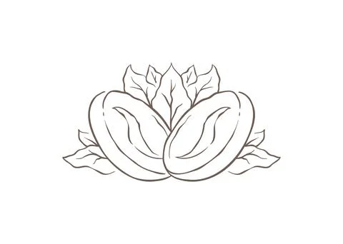 A Pair Of Roasted Coffee Beans With Fresh Leaves Behind Vector Illustration Ilustração Stock