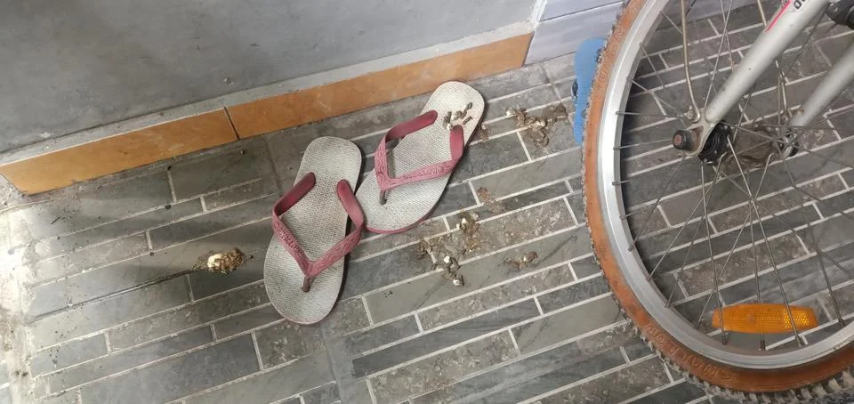 A Pair of Sandals Stock Photos