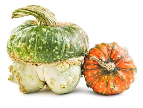 Pair of scary pumpkins isolated Stock Photos