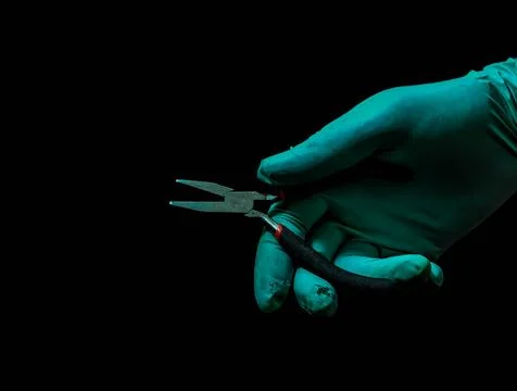 A pair of scissors is being held by a person wearing a green glove Stock Photos