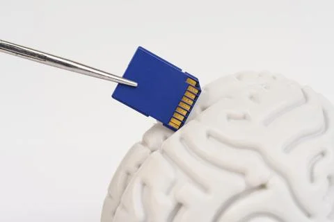A pair of scissors cutting a section of a human brain 스톡 사진