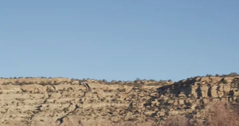 Pair of Seagulls Flying Through Canyon in Morning Light, 7K Stockbeeldmateriaal 333264101