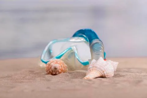 A pair of seashells with diving goggles Stock Photos