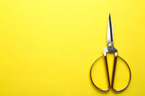 Pair of sharp scissors on color background, top view. Space for text 写真素材