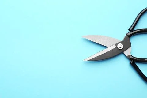 Pair of sharp scissors on color background, top view. Space for text 写真素材