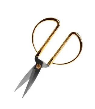 Pair of sharp sewing scissors on white background 写真素材