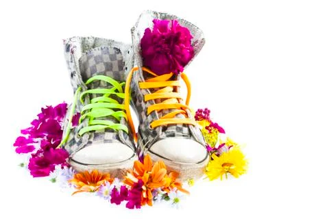 Pair of shoes Stock Photos