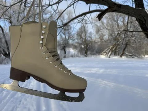 A pair of skates hangs on a tree branch. Above a ski track in a birch grove.  Fotos Stock