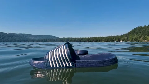 A pair of slippers floating abandoned on the surface of a lake Stock Footage 202342052