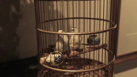Pair of Small Birds Perched Inside Ornate Cage in 798 Art District Beijing China Stock Footage 341713737