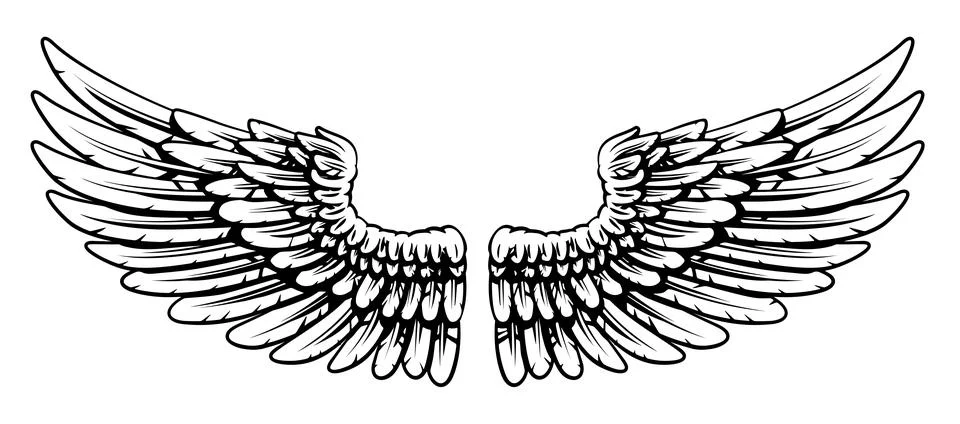 Pair of Spread Eagle or Angel Feather Wings Stock Illustration
