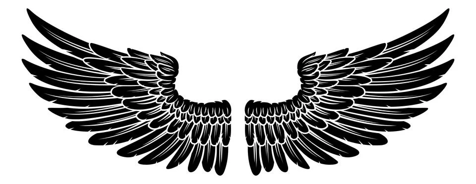 Pair of Spread Eagle or Angel Feather Wings Ilustração Stock