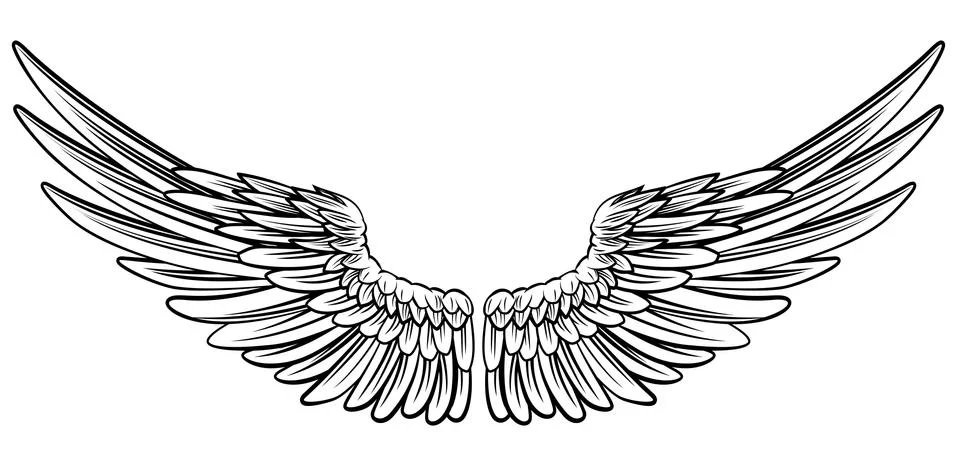 Pair of Spread Wings Illustrazione stock