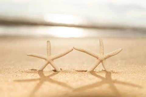 Pair of starfish on Sandy beach background background during sunset for summe Stock Photos