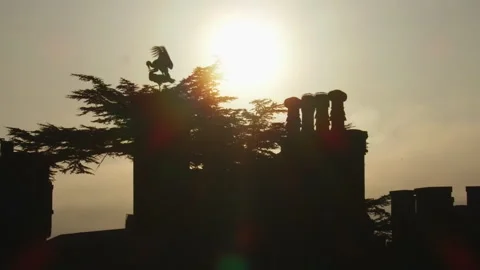 Pair of storks mating on tree branch at sunrise Stock Footage 328193517