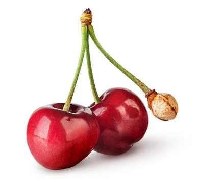 Pair of sweet cherries with bone Stock Photos