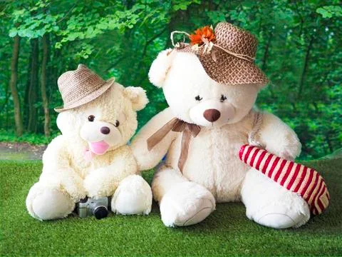 Pair of teddy bear sitting on the grass Stock Photos