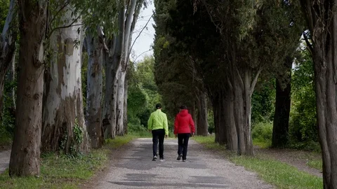 Pair of tourists wearing bright jackets walks along a forest alley. Rear view 库存影片 123552811