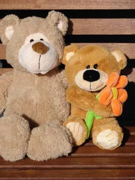 Pair toy bear Stock Photos