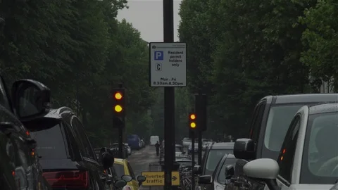 Pair of traffic lights turning red to green, man opening car door. Stock Footage 93208755
