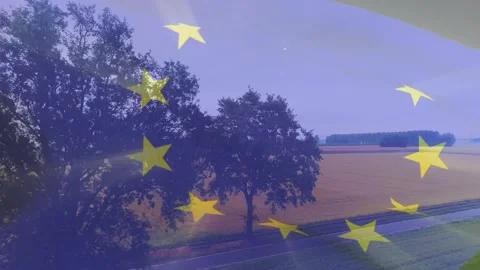 Pair of trees framing road while star ring appearing and washing harvested Stock Footage 332288633