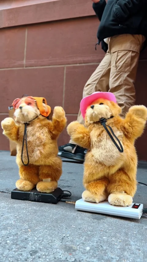 A pair of two red toy cats dancing outdoors. Toy animals in caps entertaining Stock Footage 328722186