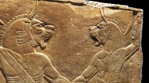 A pair of ugallu-FROM BOTTOM TO TOP Stock-Footage 86597810