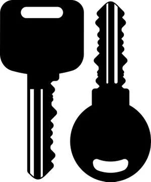 Pair of vector keys Illustrazione stock