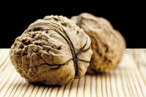 Pair of walnuts Stock Photos