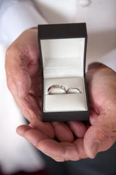 Pair of wedding rings Stock Photos