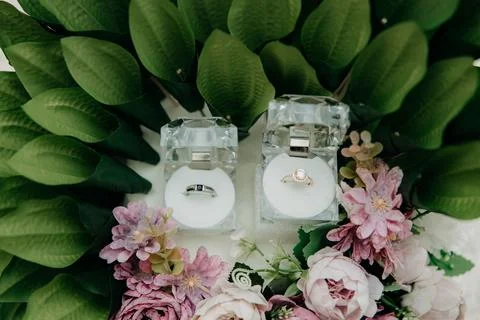 A pair of wedding rings Stock Photos