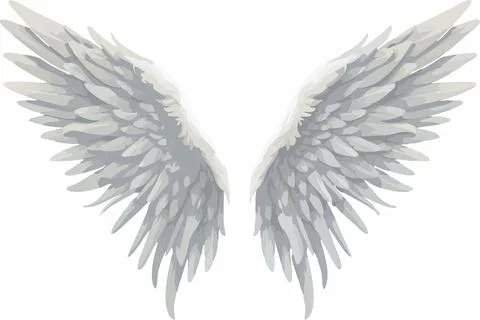 Pair of white wings on a transparent background Stockillustratie
