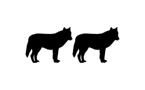 Pair Wolf Silhouette Stock Illustration
