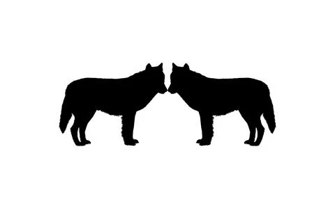Pair Wolf Silhouette Stock Illustration
