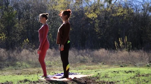 Pair of women exercising yoga fitness sports in forest park Stock Footage