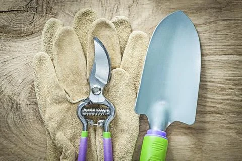 Pair of working gloves secateurs hand spade on wooden board agriculture concept Fotos Stock