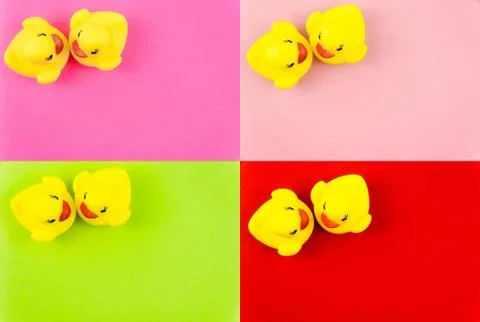 Pair of yellow rubber ducks isolated over colorful background, love concept Fotos Stock